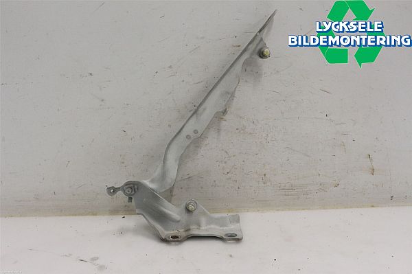 Hood hinges