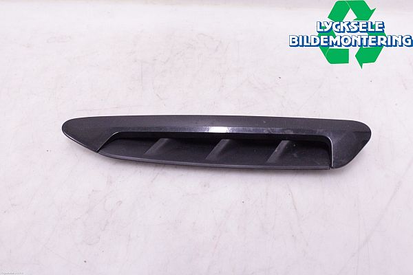 Trim molding