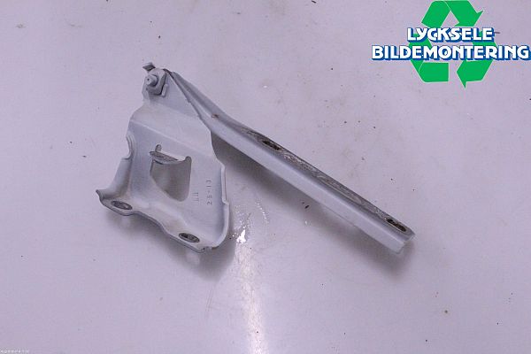 Hood hinges
