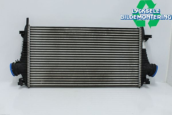 Intercooler radiator
