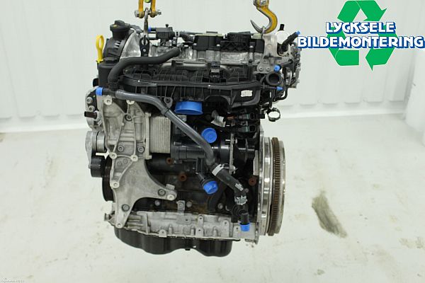 Motor CUPRA FORMENTOR (KM7, KMP)