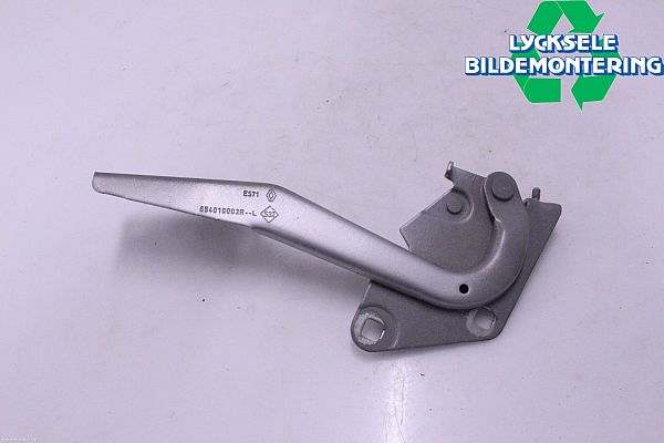 Hood hinges