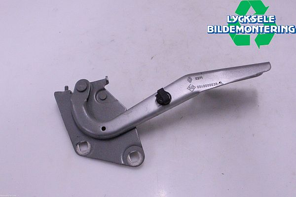 Hood hinges