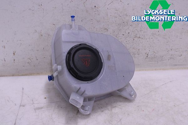 Coolant expansion tank cap