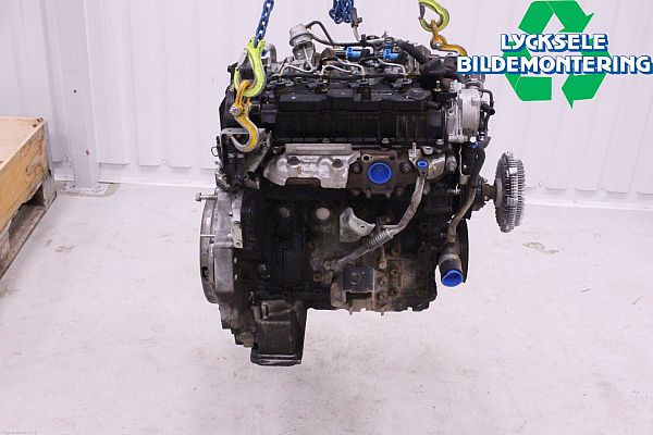 Motor ISUZU D-MAX II (TFR, TFS)