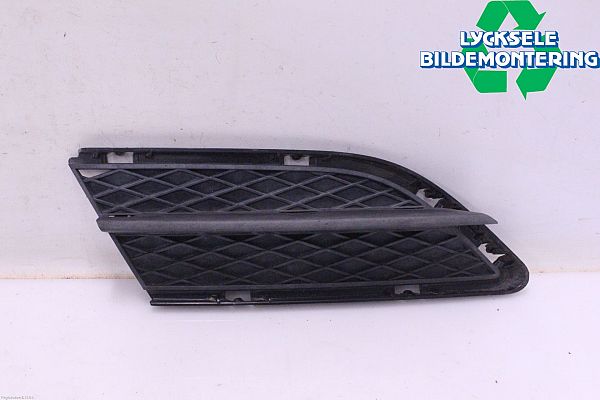 Front bumper lower grill