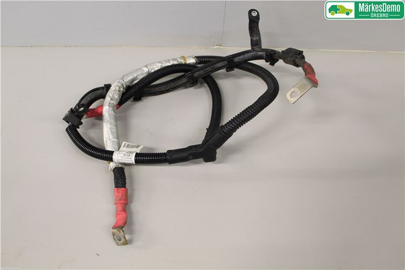 Kabel akumulatora BMW 1 (F20)