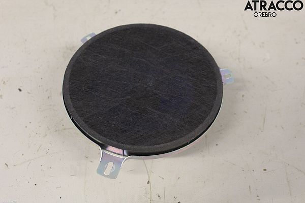 Rear door speaker