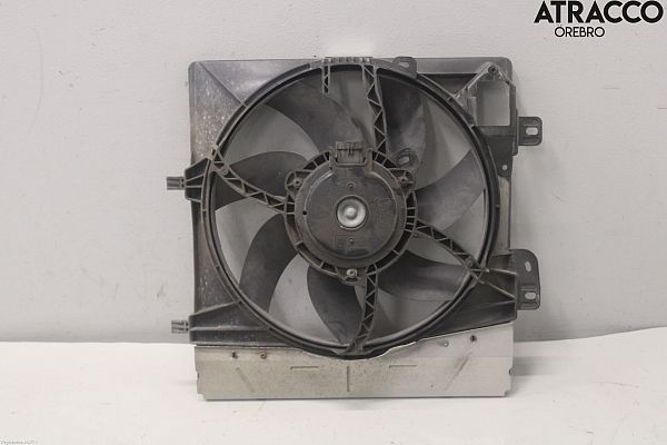 Ventilateur de radiateur électrique PEUGEOT 207 (WA_, WC_)