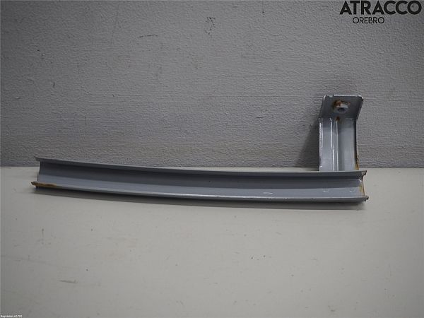 Tür Fensterrahmen SUBARU OUTBACK (BS)