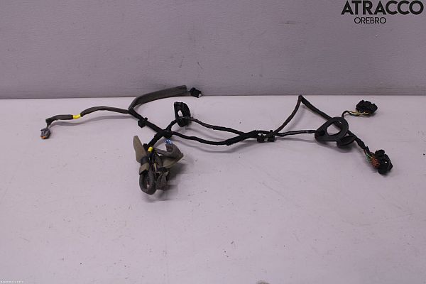 Rear door wiring loom