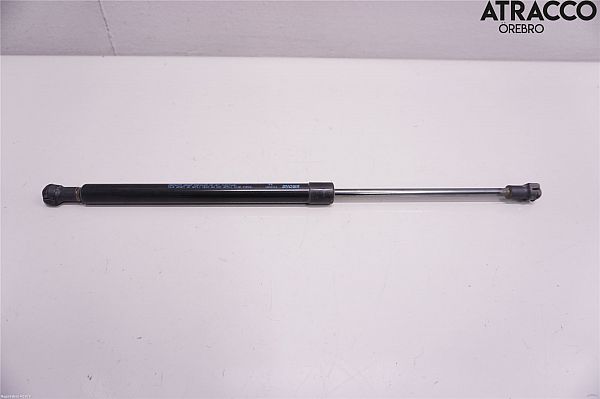 Tailgate gas strut SUZUKI IGNIS III (MF, FF)