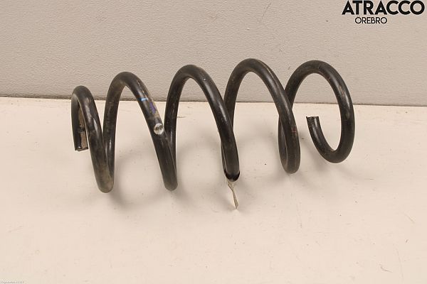 Rear spring - coil TESLA MODEL 3 (5YJ3)