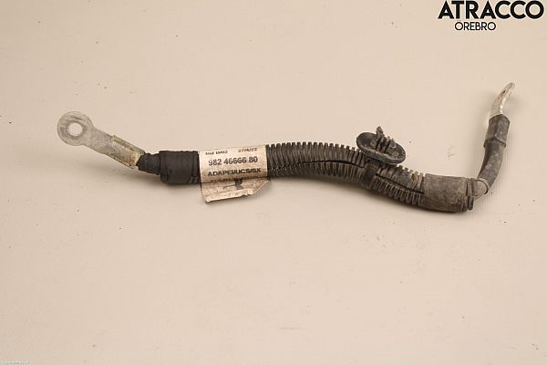 Batterij kabel PEUGEOT 3008 SUV (M_)