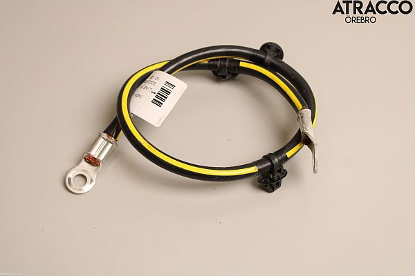 Battery cable NISSAN LEAF (ZE1_)