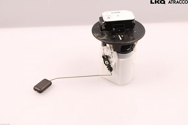 Kraftstoffpumpe DS DS 4 II (F_, FB_, F3_)