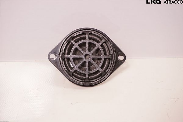 Panel speaker