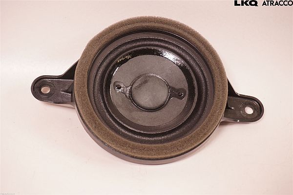Front door speaker
