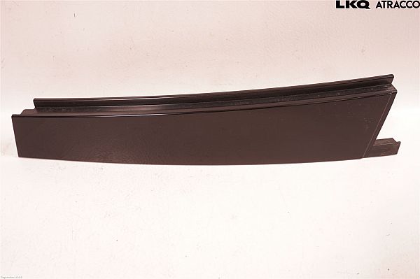 Door glass trim molding