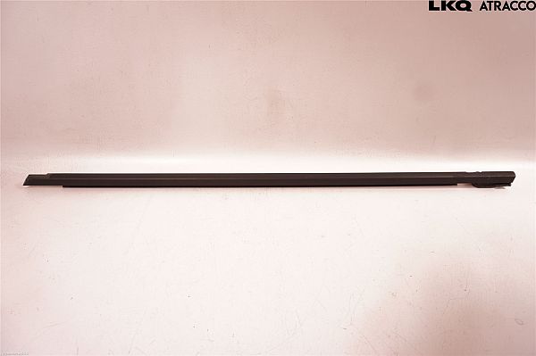 Door glass trim molding