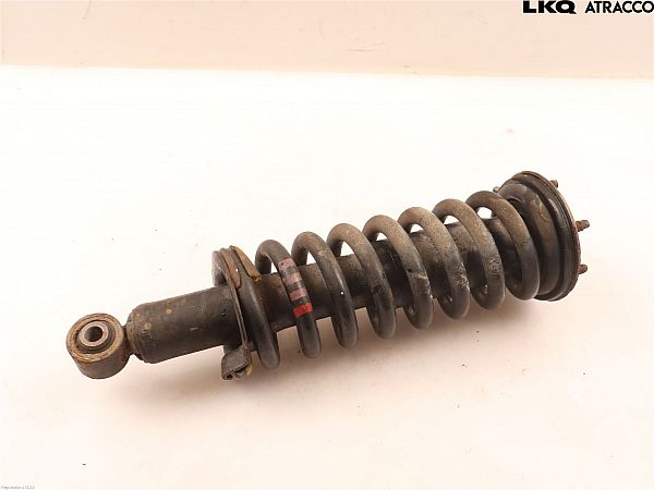 Federbein vorn NISSAN NAVARA NP300 Pickup (D23, D23T)
