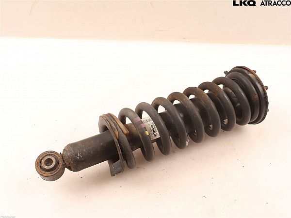 Federbein vorn NISSAN NAVARA NP300 Pickup (D23, D23T)