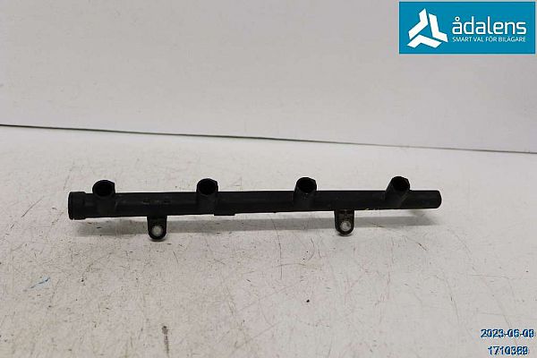 Hochdruckrail RENAULT MEGANE III Hatchback (BZ0/1_, B3_)