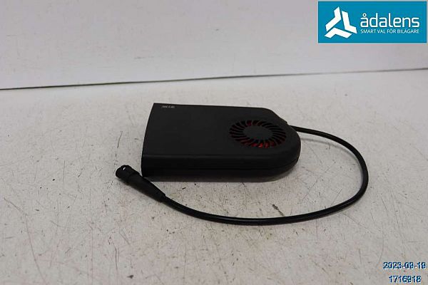 Electric vehicle heater