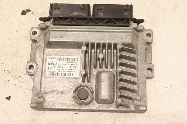 Motorsteuergerät (ECU) FORD USA EDGE