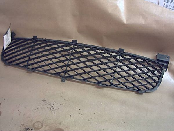 Radiator grille SUZUKI GRAND VITARA II (JT, TE, TD)