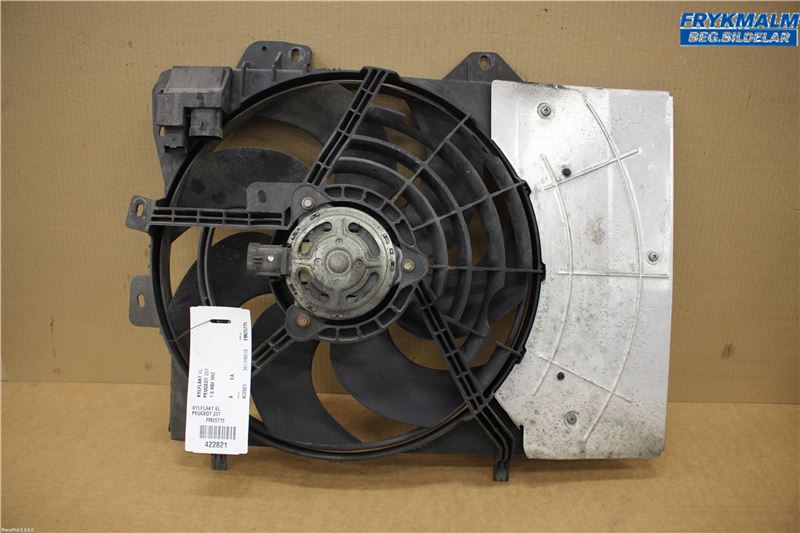Radiator fan electrical PEUGEOT 207 (WA_, WC_)