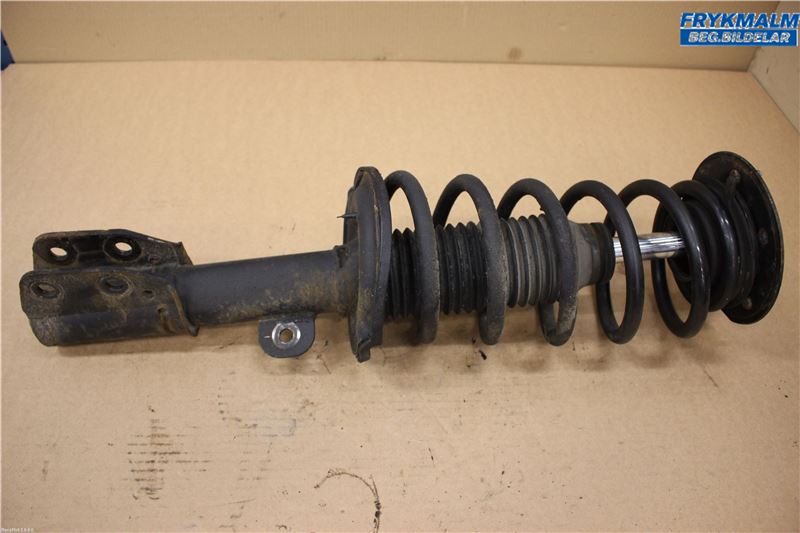 Federbein vorn CHEVROLET CAPTIVA (C100, C140)
