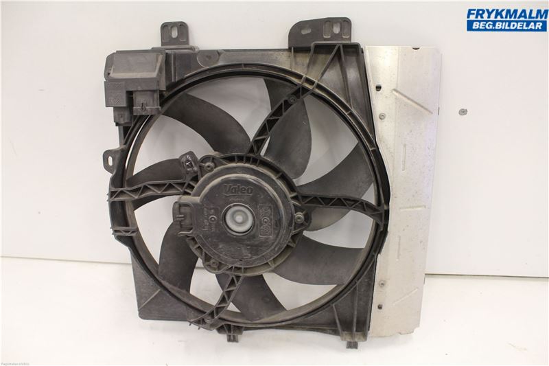 Ventilateur de radiateur électrique CITROËN C3 II (SC_)