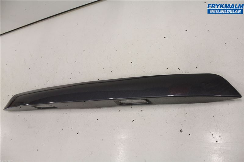 Nummernschildbeleuchtung FORD ECOSPORT