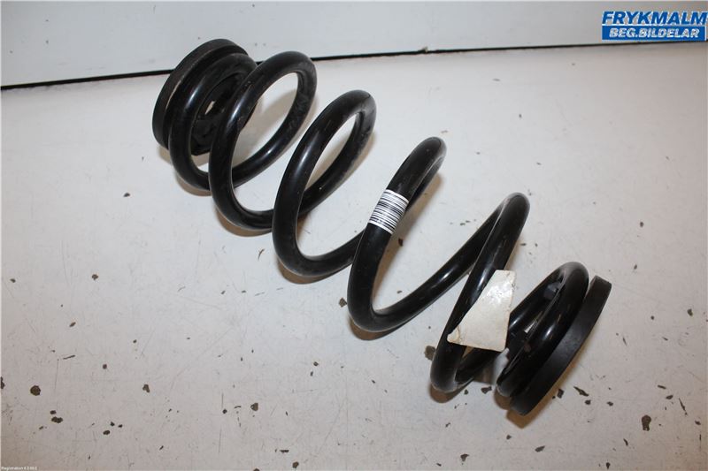 Rear spring - coil FORD KUGA III (DFK)