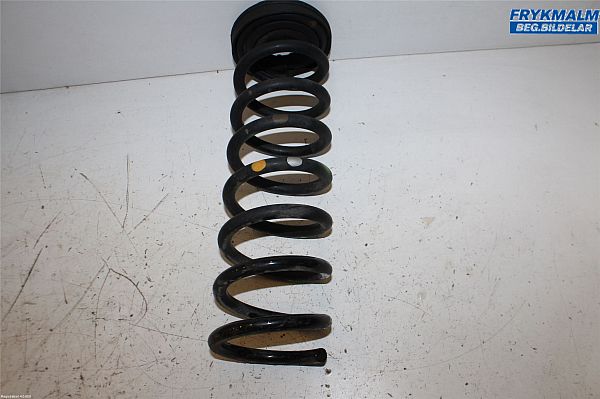 Rear spring - coil FORD KUGA II (DM2)