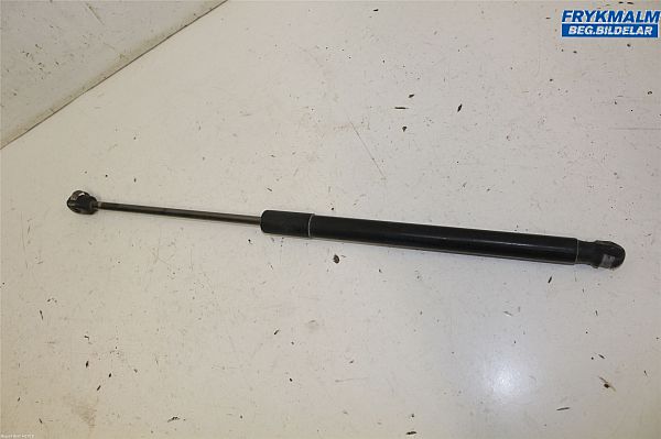 Tailgate strut