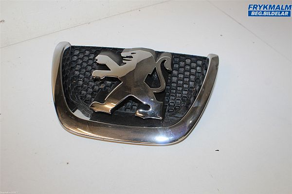 Kühlergrill PEUGEOT 207 (WA_, WC_)