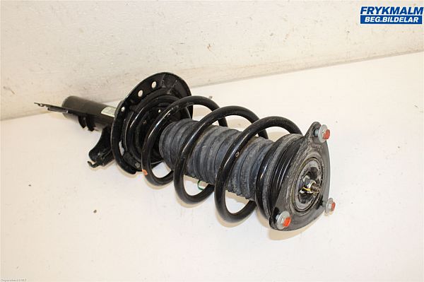 Federbein vorn NISSAN ARIYA