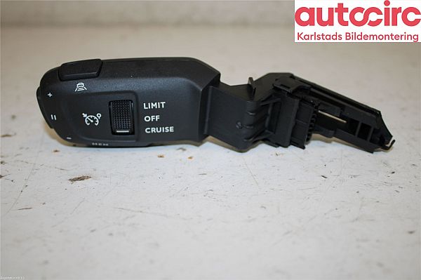 Tempomat Motor PEUGEOT 2008 II (U_)