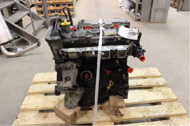 Motor RENAULT MEGANE II (BM0/1_, CM0/1_)