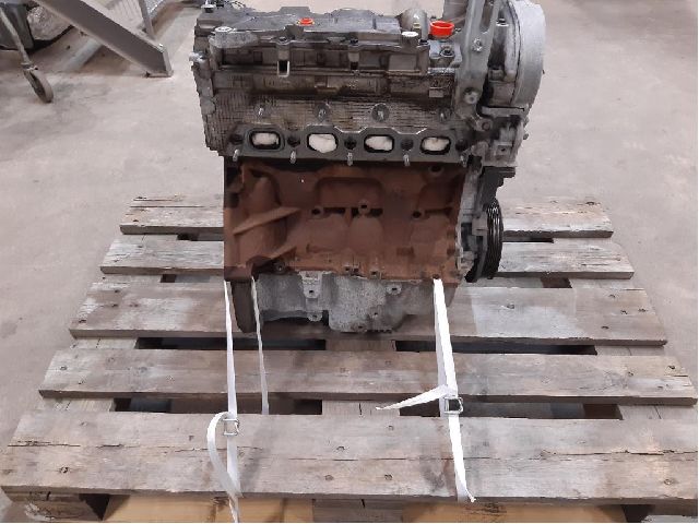 Motor RENAULT MEGANE III Hatchback (BZ0/1_, B3_)