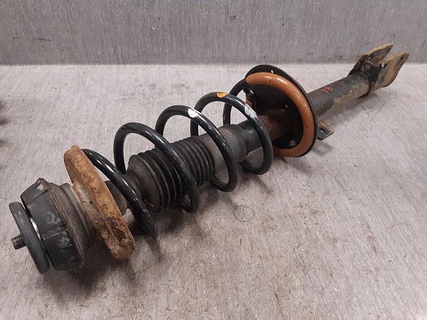 Federbein hinten DACIA DUSTER (HS_)