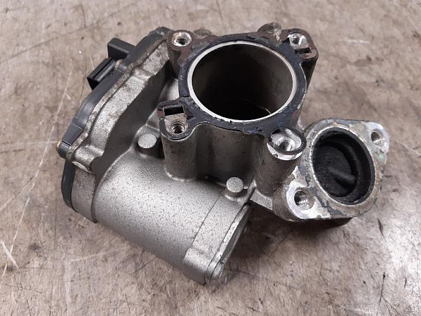 EGR Klep / EGR ventiel