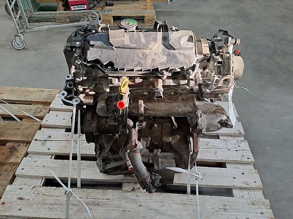 Motor
