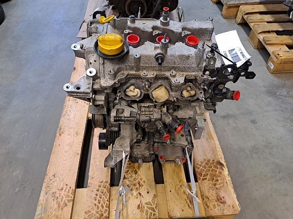 Motor RENAULT CLIO IV (BH_)