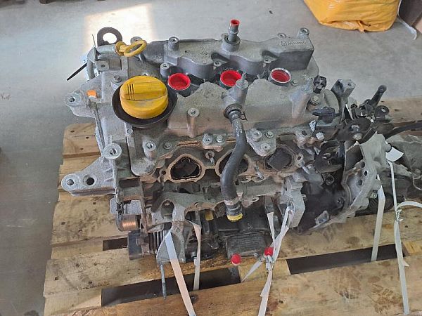 Motor