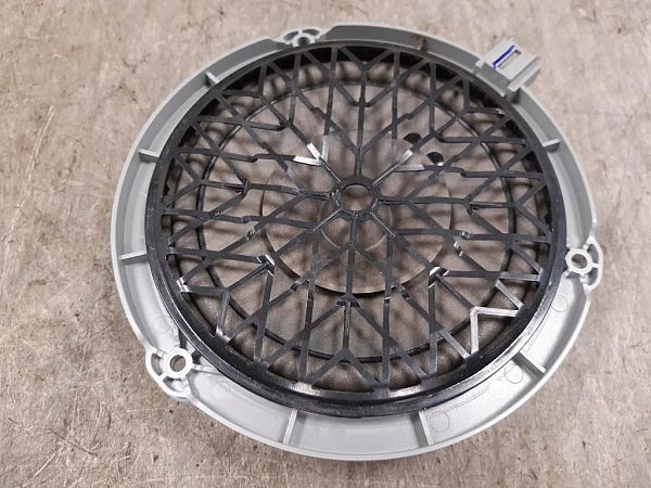 Rear door speaker