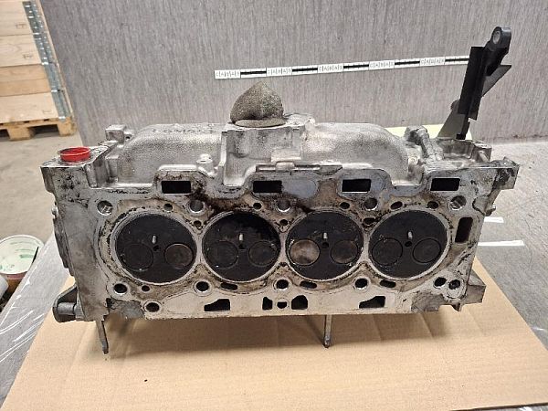 Zylinderkopf VOLVO V70 III (135)