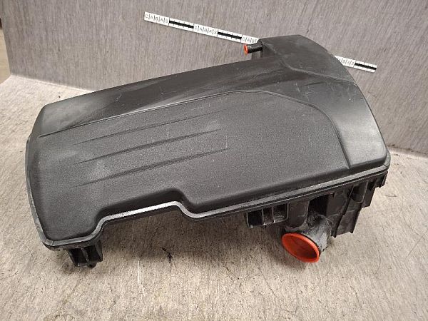 Luftfilter RENAULT CLIO III (BR0/1, CR0/1)